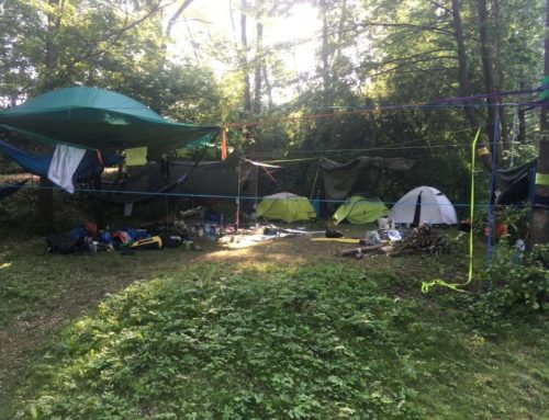 🧐 🇵🇱 7 NO FUN 2020 covid 🎆 edition – specification